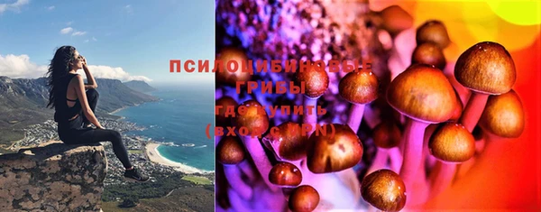 эйфоретик Армянск